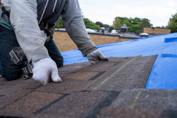 Best Roof Gutter Cleaning  in Sarand, AL